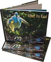 Photo Journal Book - After Its Kind Available