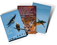 Wildlife Posters Available