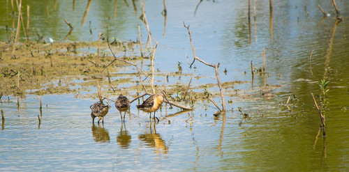 Looking for lunch!